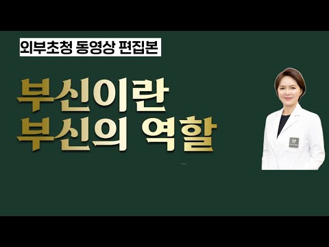 【이웃집닥터 김혜연 기능의학TV】부신이란, 부신의 역할