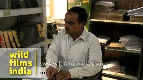 The slate and stylus method of writing Braille in Dehradun