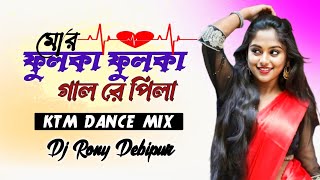 Mor Fulka Fulka Gal Re Pila Dj Songs || KTM Dance Mix || Dj Rony Debipur 