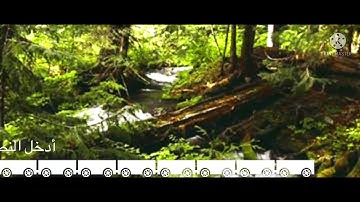 سورة النجم كامله || القارئ يوسف معاطي صوت جميل