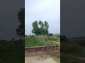 गौशाला..🐄🐄 #hindisong #vlog #vlogvideo #shorts #shortvideo #shortsviral #viral #viralvideo