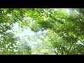 【宮城県】【戸建分譲】フォレストガーデン長町南
