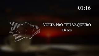 Dj Ivis - VOLTA PRO TEU VAQUEIRO