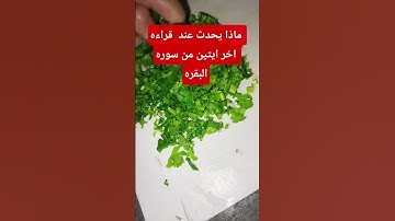 ماذا يحدث عند قراءه اخر ايتين من سوره البقره #بدر_المشاري #محبي_صبرا #اكسبلور #طبخ