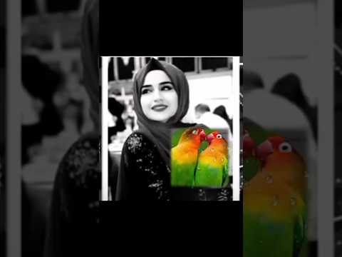 دخلك حلوة مافيها ولا غلطة حطتني بورطة