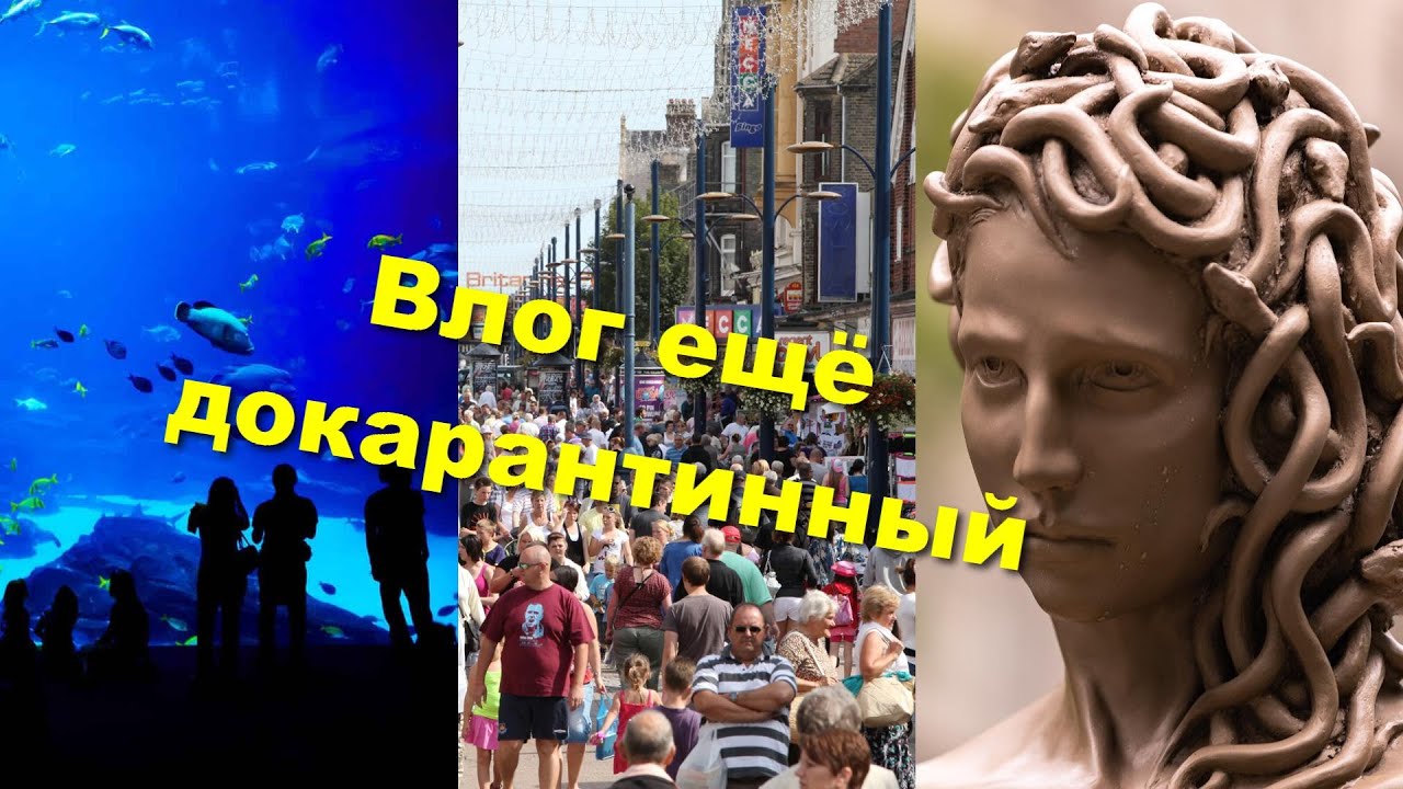 Про рыб, Медузу Горгону и курортные города - YouTube