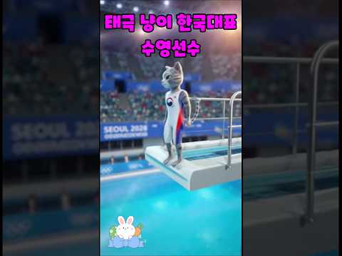 태극냥이#한국대표수영선수출전#개인최고기록#자랑스런대한의냥이#태극마크달고입수#자랑스런모습#냥이월드컵#고양이코믹#금메달냥이#레전드다#소라2 #sora2
