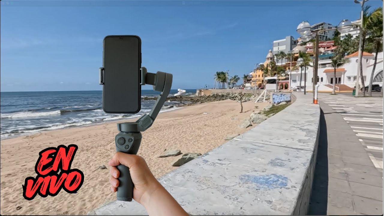 El Pulpo de Mazatlán (y de la CDMX) está en vivo