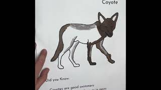 AZ Coyote Coloring by Olivia