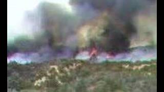 Zaca Fire Burnshow 10