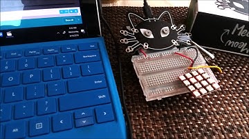 Wiring MeowMeow MakeCode and 4X4 Neopixel