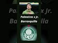 PALMEIRA X JR. BARRANQUILLA É LIBERTADORES #futebol
