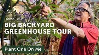 A BIG BACKYARD GREENHOUSE Tour: Orchids, Bromeliads, & More! — Ep. 273