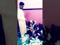 تشاد 