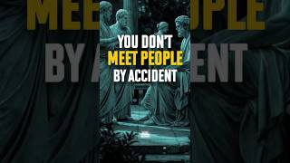 You Don’t Meet People by Accident | Stoicism Life Lessons