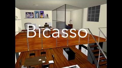 Bicasso CGT 341 Final