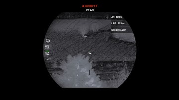 HIKMICRO Stellar SQ50L 3.0 • Wild Boar 400m