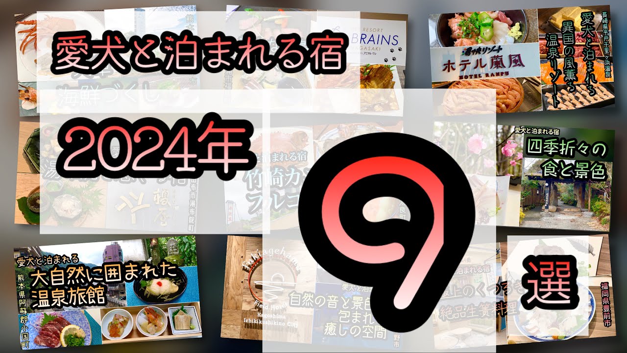 【愛犬と泊まれる宿九州】2024年愛犬と泊まれる宿9選🐕in九州！