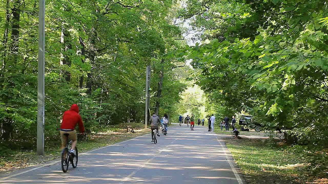 Тропа здоровья пенза парк белинского схема