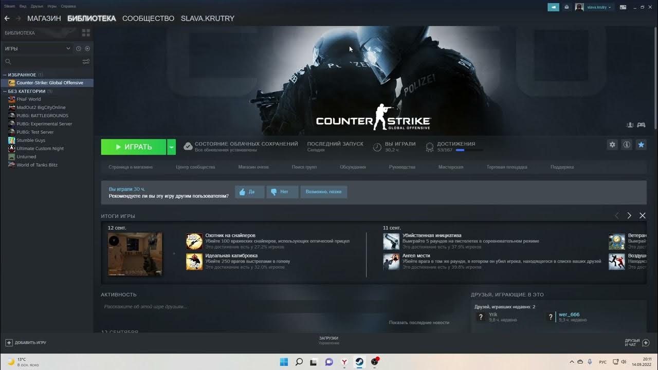 Steam без интернета фото 14