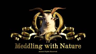 MwN Podcast: Beyond the Beef Curtains