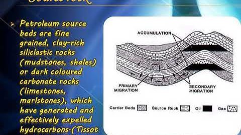 petroleum migration basics