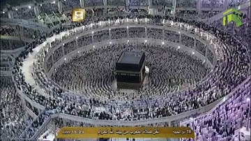 الشيخ ماهر المعيقلي تلاوة خاشغة من اواخر سورة النبأ 18 ذو الحجة 1435هـ