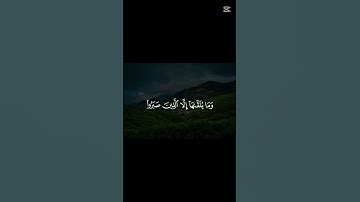 سورة فصلت |= القارئ احمد خالد القرآن الكريم تلاوة جميله #اكسبلور #راحة_نفسية #duet #ارح_قلبك 🎧♥😌