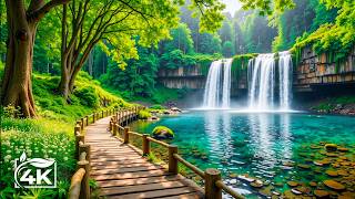 Relaxing Music Helps Relieves Stress, Anxiety and Depression, Soft and Healing music #6 screenshot 5