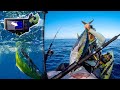 Bottom fishing Miracle + a Yellowfin tuna while targeting Wahoo + a Tiger shark | Garmin Echo map