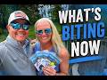 What's Biting Around Ocean City This Week - OC, MD Fishing Report