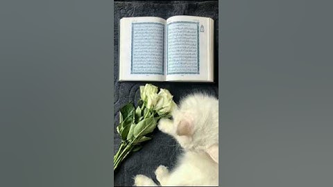 يوم الجمعة قراءة سورة الكهف والصلاة على النبيﷺ🤍#عمير_شميم #الصلاة#القرآن_الكريم#قيام_الليل#الله