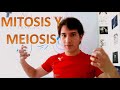 Mitosis y meiosis. Nivel experto EN 4 MINUTOS