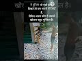 ye duniya aisa hi hai#shorts#video