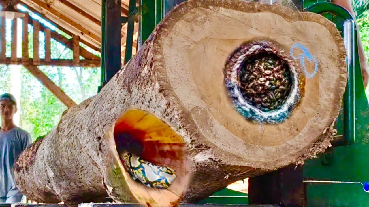 The real danger! Recklessly sawing old teak wood at the sawmill - YouTube