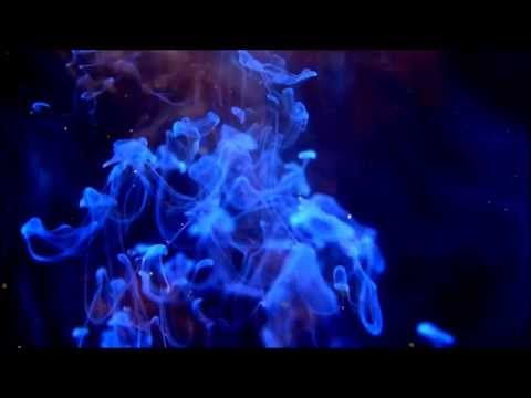 Words and Knots (official video) _ Hidden Dimensions _ Nailscissors