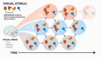 Recurrence is required to capture the representational dynamics of the human visual system