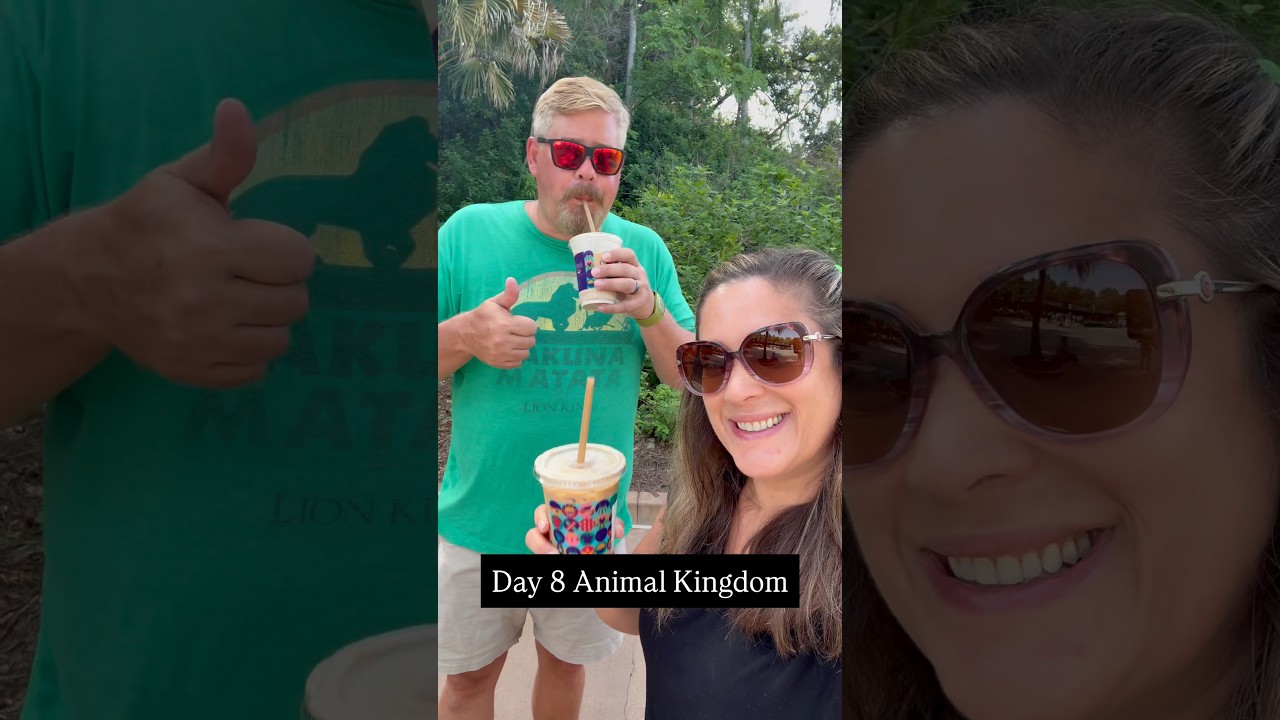 Day 8 - Animal Kingdom Park, Tiffins Lunch, Bluey, Wilderness Explorers, Jiko #animalkingdom
