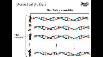 SISBID Preview: Supervised Methods for Statistical Machine Learning