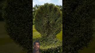 #garden 5 #food #magic #trending @SmilingKnittingYarn-nm5jn