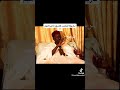 أستاذ برهام جوب المرجع أستاذ برهام جوب المرجع
