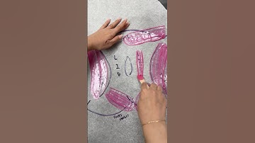 15 minute Brazilian wax pattern and tutorial! #waxing #hairremoval #waxingexpert #beauty #skincare