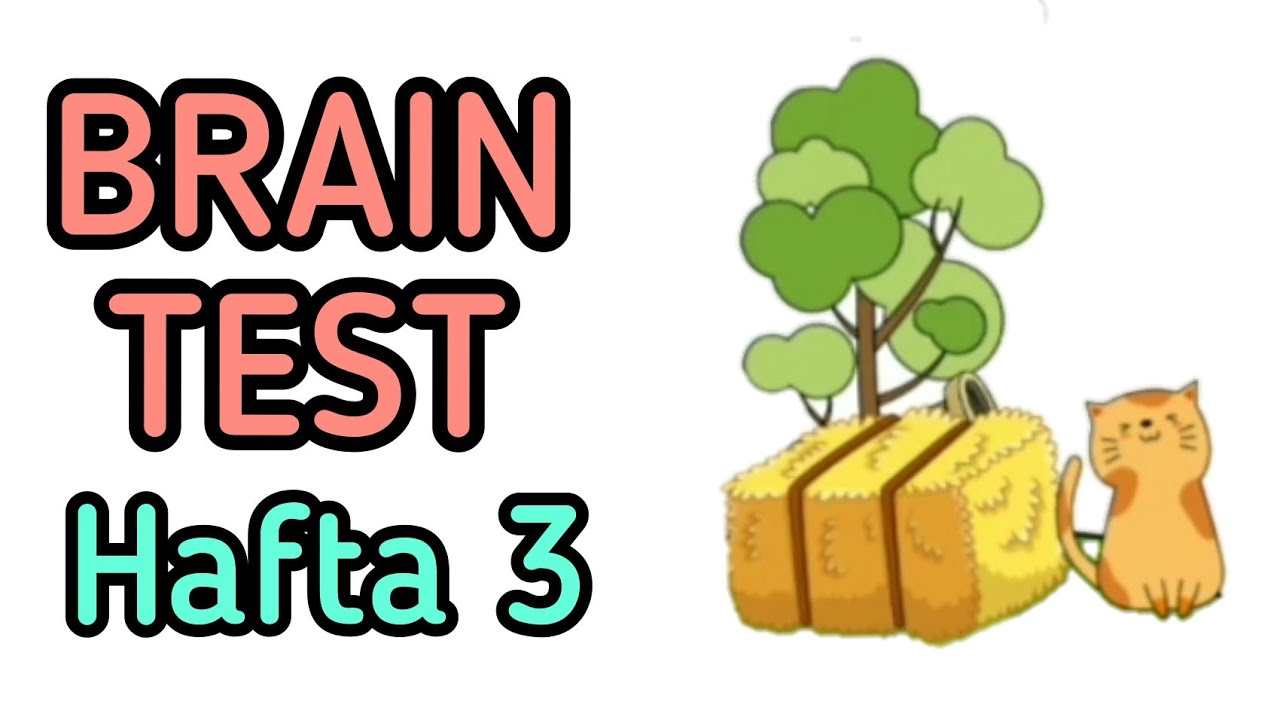 Brain Test: Tricky Puzzles - Hafta 3 Walkthrough