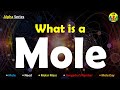 Understanding the Mole