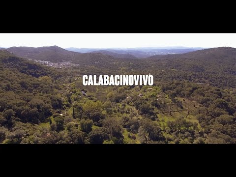 CALABACINOVIVO - EL DOCUMENTAL