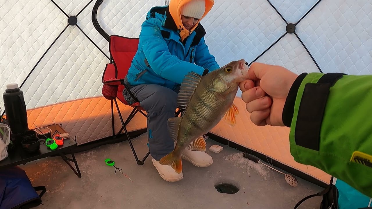 Sievas pirmā cope Peipusā.