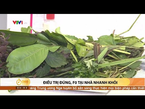 Điều trị đúng, F0 tại nhà nhanh khỏi bệnh | VTV24