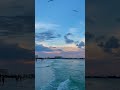 Ocean view and birds