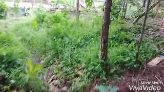 Mga Batang pasaway part2