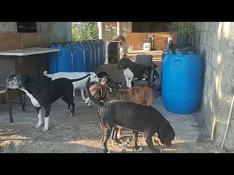 A Walk and Talk from Down South 